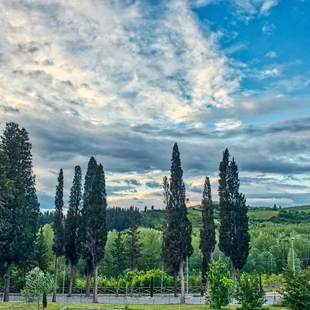 Niccoli's In Tuscany
